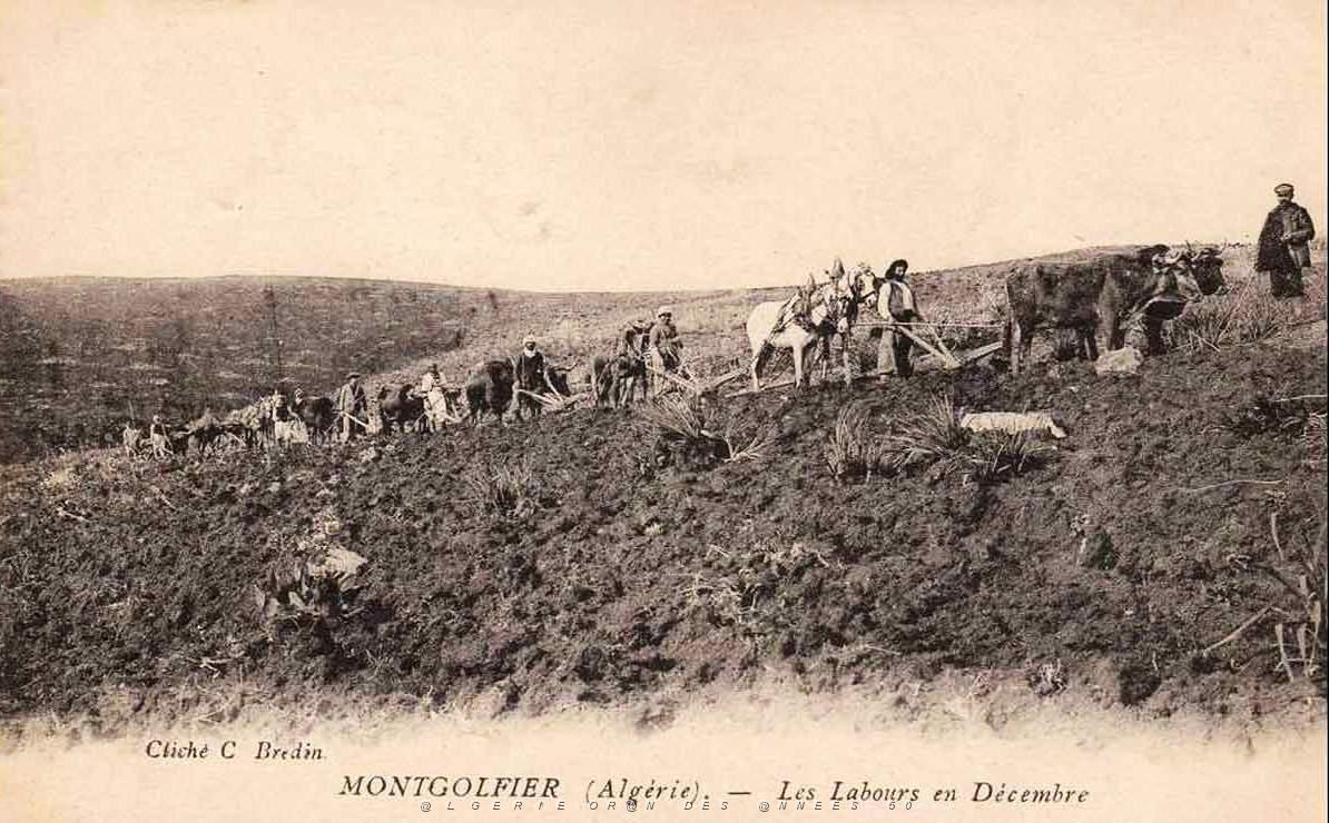 Montgolfier 607.jpg